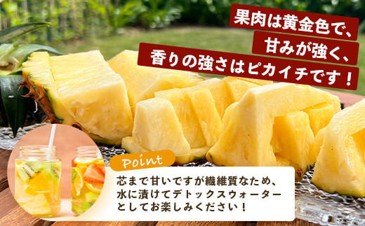 《2026年5月中旬以降順次発送》香りに溺れる！？ 完熟の極 てとの黄金パイン大玉約4kg【 沖縄 石垣 ゴールデン 黄金 パイン パイナップル 完熟 大玉 セット フルーツ デザート 】TF-25_R8