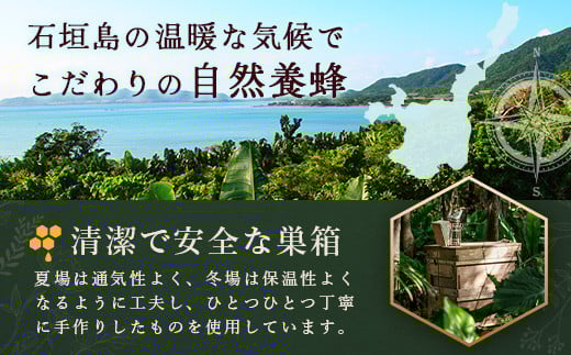 石垣島はちみつ　春蜜500g×2本（ソフトボトル）≪春蜜をご家庭用に≫ 【 石垣島産 沖縄 石垣 はちみつ 蜂蜜 ハチミツ ハニー 】HC-4
