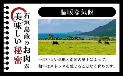 極厚!!肉汁溢れる 石垣島産《黒毛和牛100%》俵ハンバーグ 180g×4個  |和牛 牛肉 冷凍 ハンバーグ 人気 おすすめ 国産 国産牛 小分け 八重山食肉センター YC-8