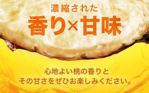 【先行予約】ピーチパイン1ｋｇ（1～2玉）お勧め♪川平パイン《2026年5月～11月頃順次発送》KN-4