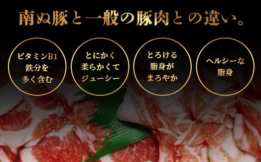 石垣島産 やえやまファームのアグ―豚（南ぬ豚）しゃぶしゃぶ セット600g 【 バラ肉 ロース 肩ロース 豚肉 豚しゃぶ 南ぬ豚 アグー豚 しゃぶしゃぶ 石垣 石垣島 沖縄 八重山 やえやまファーム 】E-6-1
