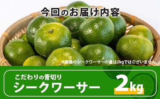 【先行予約】≪2026年8月以降順次発送≫こだわりの青切りシークワーサー 2kg 約60～80個 【 産地直送 沖縄 石垣島 石垣 八重山 シークワーサー 柑橘 フルーツ くだもの 果物 】TF-008 2.0kg