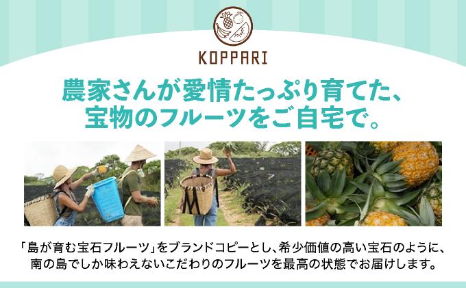 【2026年4月中旬発送】訳あり 石垣島産 スナックパイン 約4kg（4～10個）KP-01 | ふるさと納税 パイナップル 産地直送 フルーツ 果物 パイン 石垣 沖縄 沖縄県石垣市 石垣島 スナックパイン 約4kg