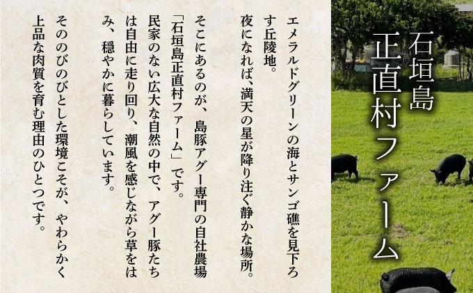 満天アグー 3種セット (ローストポーク 300g ハンバーグ 150g×2 ウインナー 200g×2) | ふるさと納税 沖縄県 石垣市 石垣 沖縄 石垣島 ふるさと 人気 送料無料 アグー 豚 豚肉 ポーク 3種セット