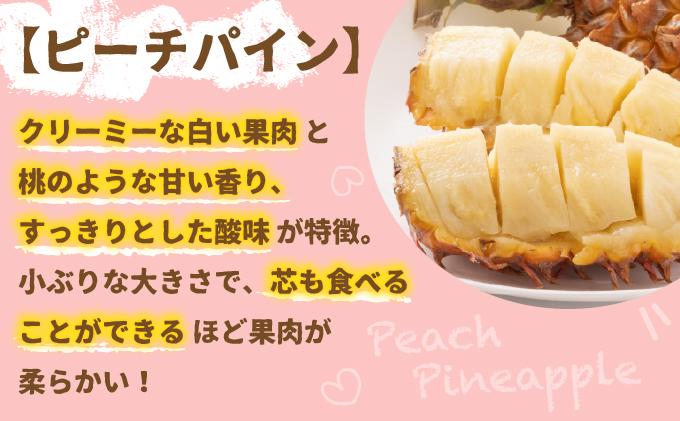 ＜先行受付＞ 石垣パイン ピーチ種 6個セット ＜2026年5月初旬～6月初旬発送予定＞ | パイナップル パインアップル 石垣島パイン フルーツ 果物 くだもの 南国フルーツ 国産パイン 6個セット