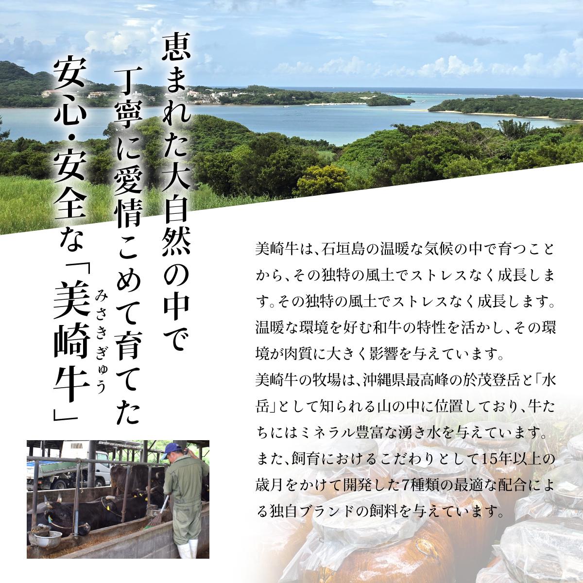美崎牛 厳選5種 焼肉食べ比べセット 250g | 牛肉 セット 和牛 黒毛和牛 沖縄 石垣 A5 オーガニック 幻の和牛 ギフト 食べ比べセット