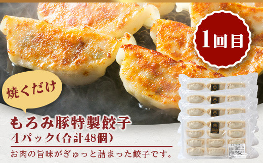 【5回定期便】もろみ豚 お惣菜定期便 | 沖縄 石垣 5ヶ月 ハンバーグ メンチカツ 餃子 メンチ 豚肉 肉 惣菜 総菜 定期 頒布会 もろみ ぎょうざ 揚げ物 みそ漬け 味噌漬け おかず AH-13-1