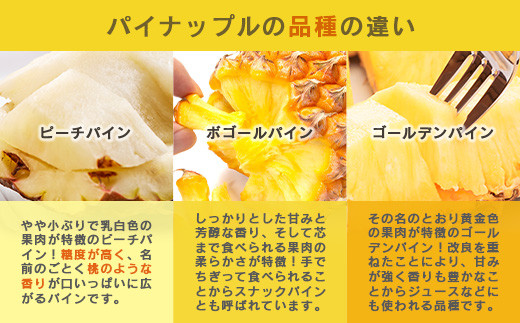 【予約受付】【定期便】石垣島産 パイナップル 3回 定期 3種 計6玉【2026年 5月頃・6月・7月頃お届け】  ふるさと納税 パイナップル パイン フルーツ 果物 果実 定期便 定期 3回 3か月 沖縄県 石垣市 石垣島 産地直送 ふるさと 人気 送料無料 KP-18