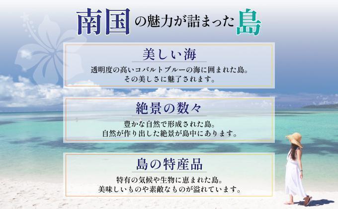 石垣パッケージ旅行補助券(300,000円分) OTI-04 クーポン300,000円分