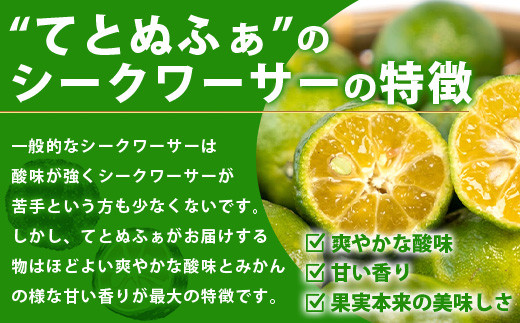 《2024年6月下旬～7月末発送》【先行予約】島の美味しい詰め込んだよくばりセット！【 産地直送 沖縄 石垣島 石垣 八重山 マンゴー、パイナップル、シークワーサー フルーツ くだもの 果物 】TF-9