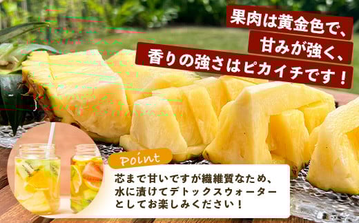 《2026年5月中旬以降順次発送》【先行予約】香りに溺れる！？ 完熟の極 てとの黄金パイン大玉約2kg【 沖縄 石垣 ゴールデン パイン パイナップル 完熟 セット フルーツ デザート オリジナル 】 TF-31_R8