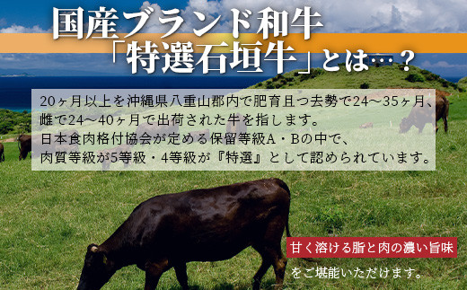 希少な特選石垣牛のホルモンをご家庭で！！マルチョウ300g×4パック 秘伝の味噌味とプレーンの食べ比べセット【 沖縄 石垣 和牛 石垣牛 希少 特選 肉 味噌 みそ 味付 ホルモン マルチョウ 冷凍 小分け 】IM-19
