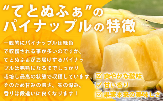 《2026年6月中旬以降発送》島の美味しいを詰め込んだ、パイン＆マンゴーのよくばりセット！【 沖縄県 石垣市 石垣島 完熟 パイン パイナップル スナック マンゴー セット 詰め合わせ 産地直送 】TF-24_R8