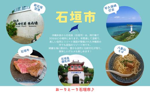 石垣市に泊まるふるさと納税旅行クーポン【15,000円分】｜沖縄県 石垣市 石垣島 八重山 旅行 クーポン 旅行クーポン 電子クーポン 日本空輸 NK-5