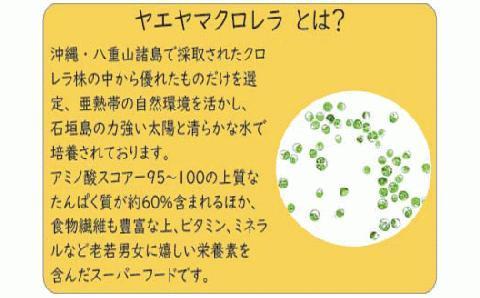 八重山クロレラ粒(620粒) 隔月6回お届けコース 合計6袋(3720粒) YY-003-t06