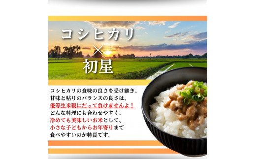 【石垣島産ひとめぼれ】日本最南端の日本一早い新米・10kg　【 沖縄県 石垣市 米 お米 新米 5kg×2袋 】SI-59-1