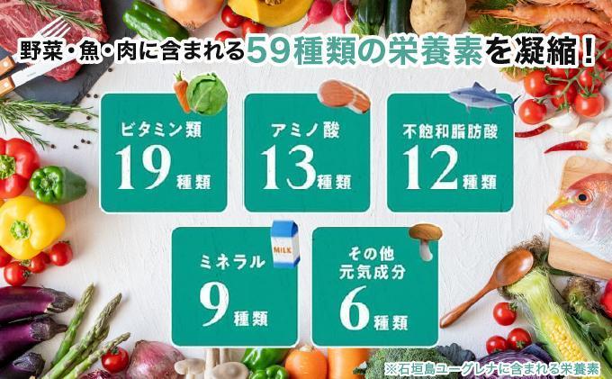 【定期便】《12ヶ月》からだにユーグレナ グリーンタブレット乳酸菌 YG-5-t12 定期便12ヶ月