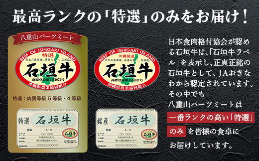 ≪特選≫ 石垣牛100% ハンバーグ (100g×3個) ＆ ≪特選≫ 石垣牛 元卸のお任せ焼肉 (180g) セット（八重山パーツミート）I-17-1