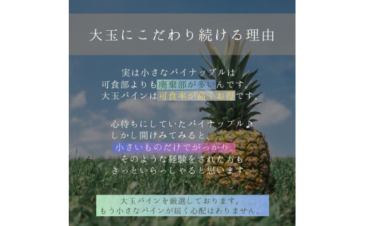 ＜先行予約＞石垣島産・大玉ピーチパイン 3玉 約3.0kg ＜2026年5月以降発送＞【 沖縄県石垣市 石垣島 フルーツ 果物 パイン パインアップル パイナップル 産地直送 】SI-037 大玉 3玉 約3.0kg
