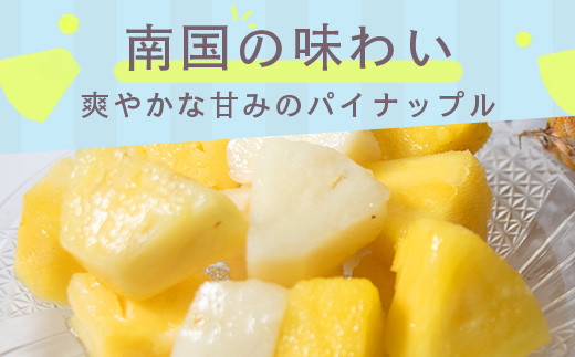＜期間限定 春フェア＞ 石垣島産 パイナップル 青果とフローズンのセット 6回定期便 | 青果3回 冷凍3回 沖縄県 石垣市 果物 果物 南国フルーツ パイン 送料無料 コッパリ