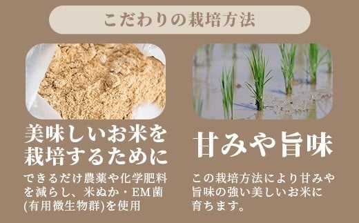 【定期便 3回】3ヶ月連続でお届け 星の美しゃ・於茂登のひかり・ひとめぼれ 5kg が毎月交互に届く(合計15kg)  石垣島産 【 日本一早い新米の産地 石垣 ふるさと納税 沖縄県 石垣市 石垣島 米 星 星の美しゃ】MK-8