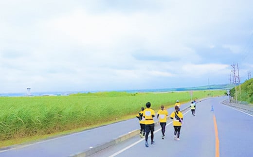 【限定30名・特典アリ】第23回石垣島マラソン 10kmマラソン出走権 AAA-7_R8