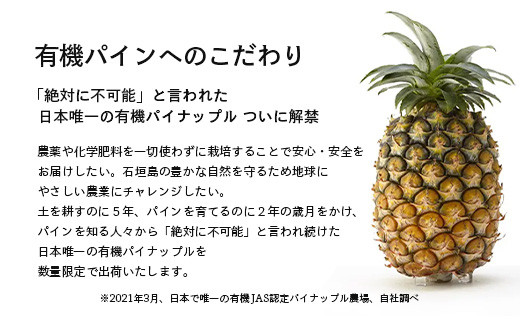 ＜先行予約＞ 石垣島産 有機パイナップル ハワイ種 2～4玉 (約2.8kg)《7月上旬順次発送》| パイナップル パインアップル 石垣島パイン フルーツ 果物 くだもの 南国フルーツ 国産パイン E-39