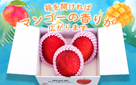 ＜先行予約＞「マンゴー」 ⽯垣島ど真ん中 まるま～さん マンゴー 1kg (2～3玉) ≪2026年7月頃より順次発送予定≫ (アーウィン種)【 産地直送 マンゴー アーウィンマンゴー アップルマンゴー 沖縄県 八重山 石垣産 アーウィン種 マンゴー フルーツ 果物 】 IT-1