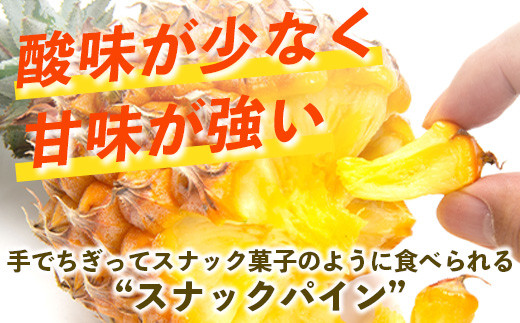 【先行予約】《2026年5月上旬頃より順次発送》石垣島産 スナックパイン (4玉 約4kg)【 産地直送 沖縄 石垣 パイナップル パイン スナック フルーツ トロピカル 南国 】 TP-8-1 4玉（約4kg）