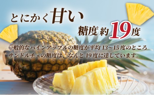【先行予約】石垣島産 中玉サンドルチェ２玉 合計約1.9kg《2025年夏季 順次発送》【 沖縄 石垣 フルーツ パイナップル パイン サンドルチェ 産地直送 】SI-106 中玉 2個