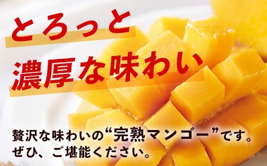 【訳あり】石垣島産 マンゴー (アーウィン種)  9～12玉(箱含め約5kg) 《樹齢30年の木で育ったマンゴー》｜産地直送 沖縄 石垣島 マンゴー  アーウィン マンゴー フルーツ TP-3 【訳あり】約5kg（9～12玉）