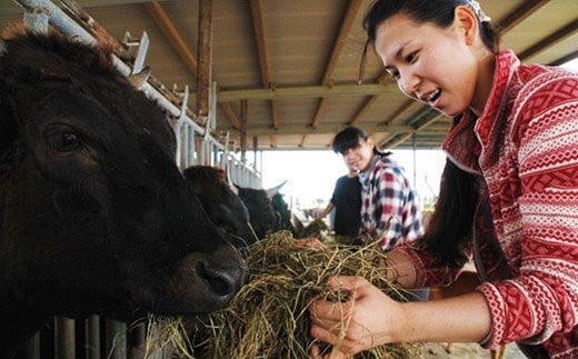 石垣牛KINJOBEEFコロッケ　10個セット U-7-1