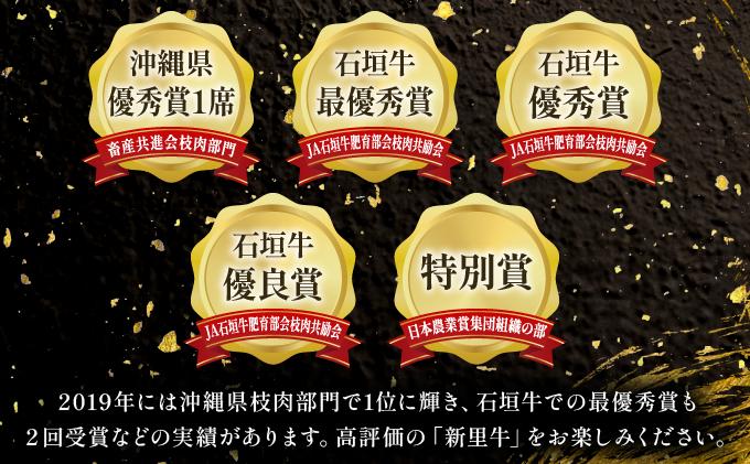 石垣島産 黒毛和牛 新里牛 濃厚赤身ローストビーフ用（ソトモモ）（200g～300g×2個）合計500g以上 SZ-11