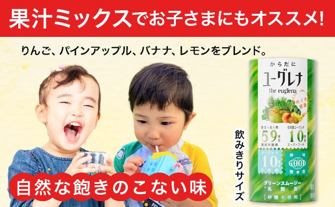 【定期便】《12ヶ月》からだにユーグレナ グリーンスムージー乳酸菌 (195g×15本×12回) | ユーグレナ スムージー 健康飲料 乳酸菌飲料 健康 栄養 栄養価 ふるさと 沖縄県 沖縄 石垣 石垣島 石垣市 定期便12回