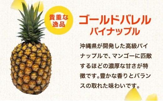 訳アリ 業務用冷凍カットパイナップル500g×3点セット PU-02 訳アリ：500g×3個(3種1個ずつ)