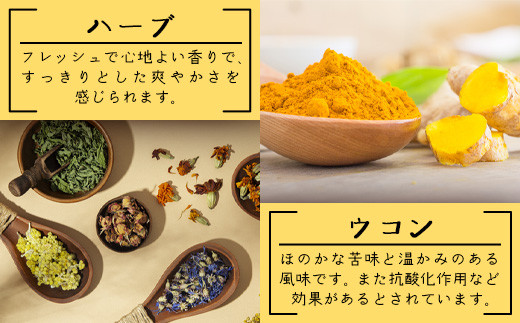 島コーラ 2本セット【沖縄県 石垣島 コーラ クラフトコーラ ハーブ ウコン スパイス】CS-1