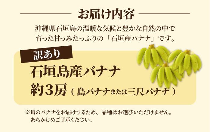＜訳あり＞ 大満足！石垣島産バナナ3房 ＜2026年6～10月発送＞ KP-022