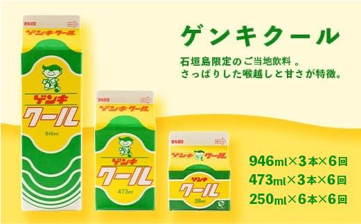【ふるさと納税限定】【定期便_6回】八重山ゲンキ乳業 全種バリューセット【八重山ゲンキ乳業】【ゲンキ牛乳】【石垣島のソウルドリンク ゲンキクール】【ゲンキカフェ】【さんぴん茶ミルクティー】GN-4_6t 定期便6回