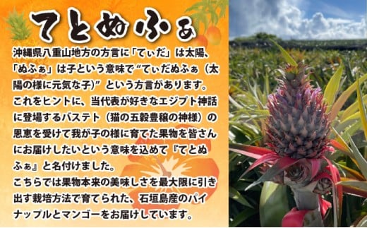 【先行予約2026年6月下旬から順次発送】最高糖度20度！？クリーミーな味わいが魅力の石垣島産完熟サンドルチェ 2個セット