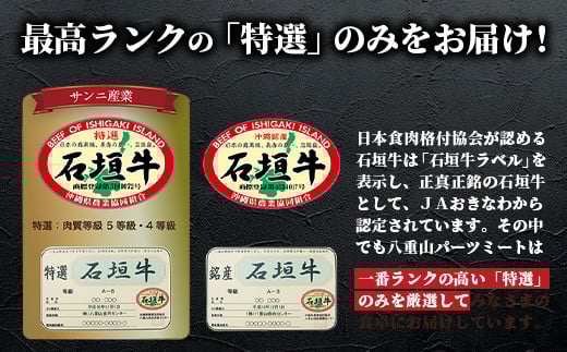 石垣牛 ハンバーグ ≪100g10個≫（八重山パーツミート）【 ビーフハンバーグ 手作り ハンバーグ いしがき牛ハンバーグ 石垣牛 】I-9 