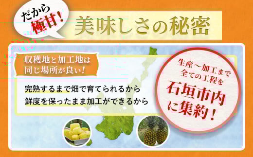 ＜先行予約＞ 當銘さんの完熟カットパイン 2.5kg (250g×10袋) ＜2026年6月上旬から発送＞ | パイナップル パイン 冷凍パイン 沖縄 石垣島 小分け 2.5kg (250g×10袋)
