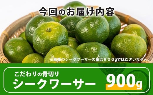 【先行予約】≪2026年8月以降順次発送≫ こだわりの青切りシークワーサー 900g 約30～40個 【 産地直送 沖縄 石垣島 石垣 八重山 シークワーサー 柑橘 フルーツ くだもの 果物 】TF-007 900g