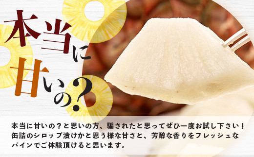 【マツコの知らない世界で絶賛！】《2026年5月～7月順次発送》最高糖度20度！？ 完熟の極 石垣島産ジュワリーパインとホワイトココの食べ比べセット 【 沖縄 石垣島 石垣 八重山 パイン ホワイト ジュワリー 期間限定 数量限定 TV テレビ 紹介 マツコ 】TF-20_R8