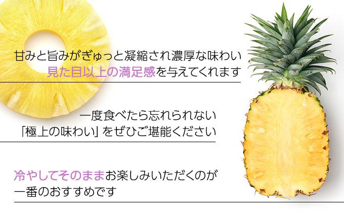 ＜先行予約＞ 石垣島産パイナップル サンドルチェ 3玉 (約3kg) ＜2026年6月上旬順次発送＞｜産地直送 沖縄 石垣 パイナップル パイン フルーツ トロピカル 南国
