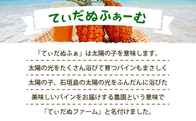 畑でパインの収穫体験 人生で一番おいしいパインを食べよう！ | 沖縄 石垣 パイナップル パイン 収穫体験
