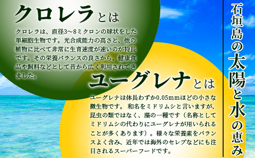  ≪そうめん≫ 石垣島のユーグレナ＆クロレラ入り乾麺(4セット入り化粧箱×2 箱、合計8セット）※（1セットそうめん180ｇ1袋、特製つゆ2食入り）【そうめん ソーメン ユーグレナ 健康 美容 素麵 麺 沖縄県 沖縄 琉球 八重山 八重山諸島 石垣島 石垣 石垣島産  】AR-1