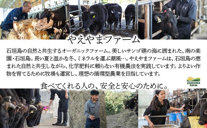 石垣島産経産黒毛和牛 1頭切り落とし 500g 切り落とし 500g