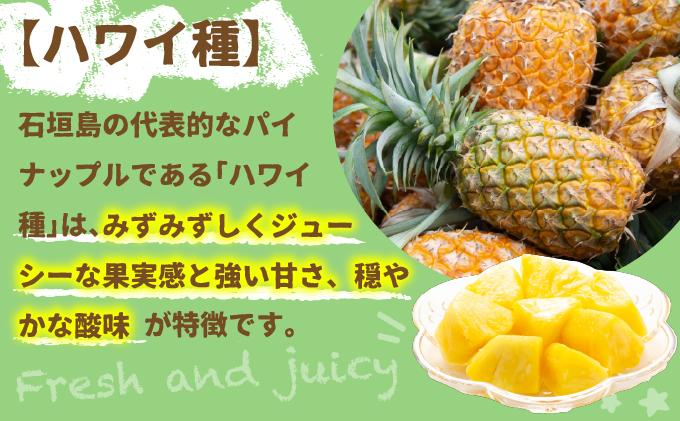 ＜先行受付＞石垣パイン ハワイ種 6個セット＜2026年7月上旬発送＞ | パイナップル パインアップル 石垣島パイン フルーツ 果物 くだもの 南国フルーツ 国産パイン MI-7-1 6個(約8kg)