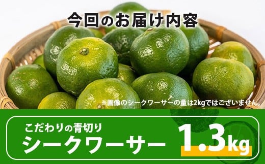 【先行予約】≪2026年8月以降順次発送≫こだわりの青切りシークワーサー 1.3kg 約40～60個 【 産地直送 沖縄 石垣島 石垣 八重山 シークワーサー 柑橘 フルーツ くだもの 果物 】TF-041 1.3kg