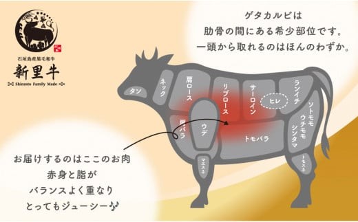 石垣島産 黒毛和牛 新里牛 中落ちゲタカルビ（200g×2）焼肉 バーベキュー SZ-26
